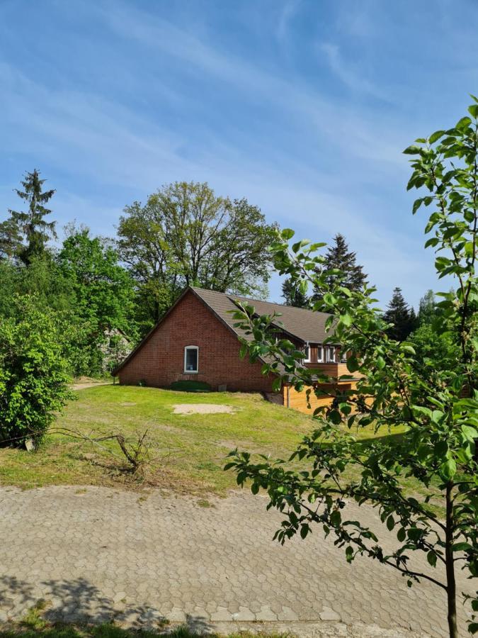 Dammann'S Hof Lägenhet Bispingen Exteriör bild
