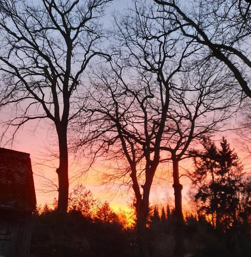 Dammann'S Hof Lägenhet Bispingen Exteriör bild