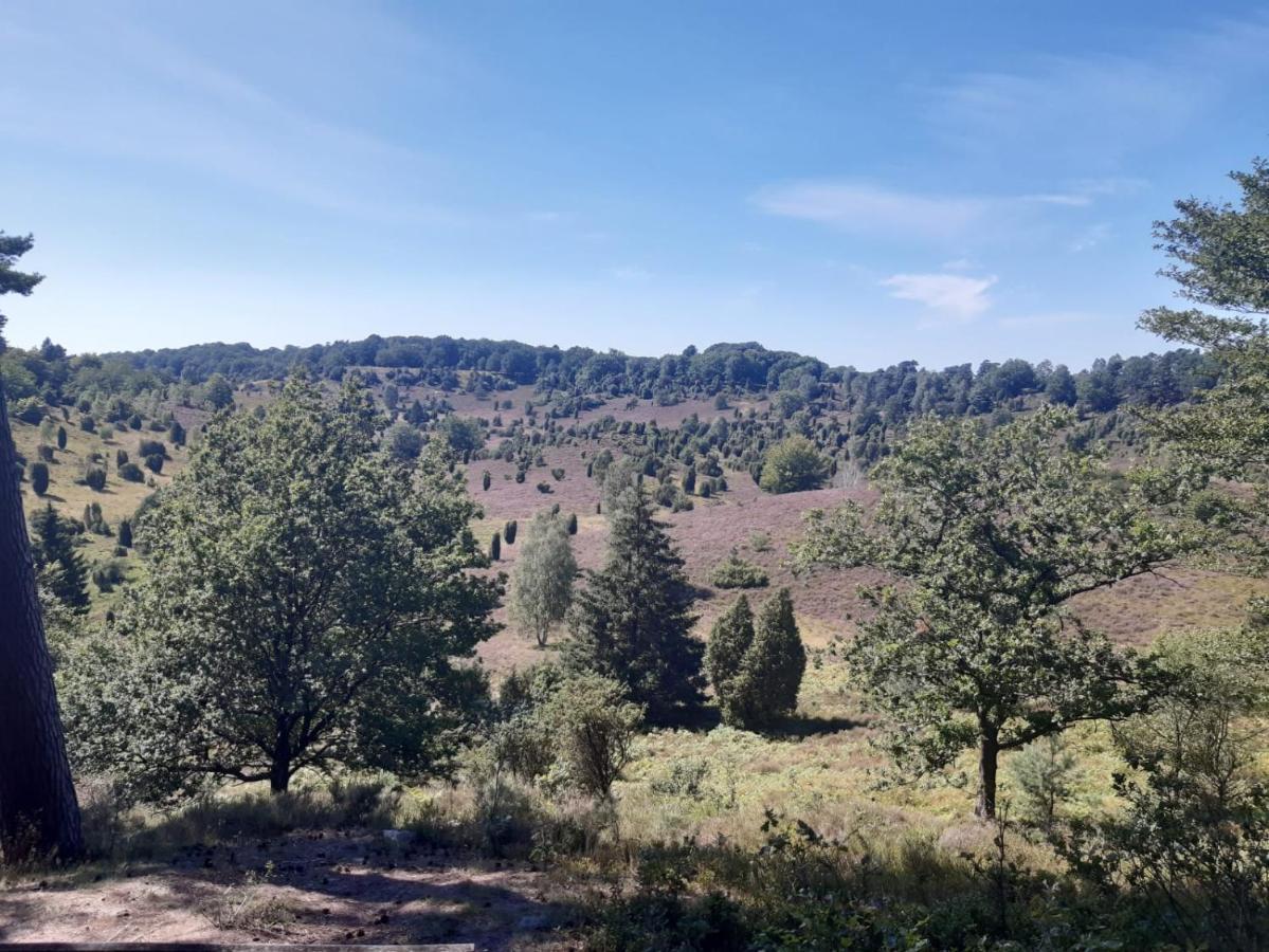 Dammann'S Hof Lägenhet Bispingen Exteriör bild
